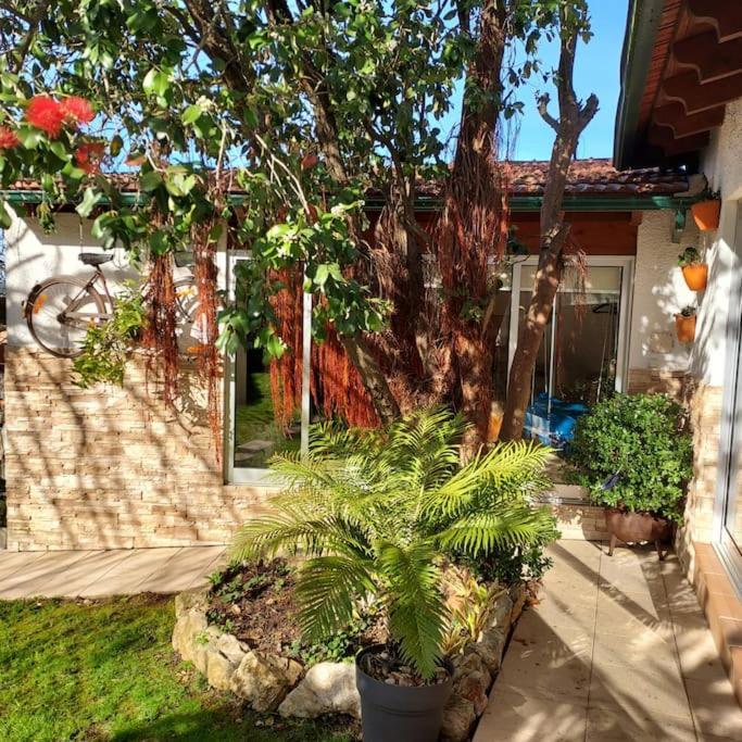 Casat5, Ferias, Piscina Privativa. Agueda, Aveiro Βίλα Εξωτερικό φωτογραφία